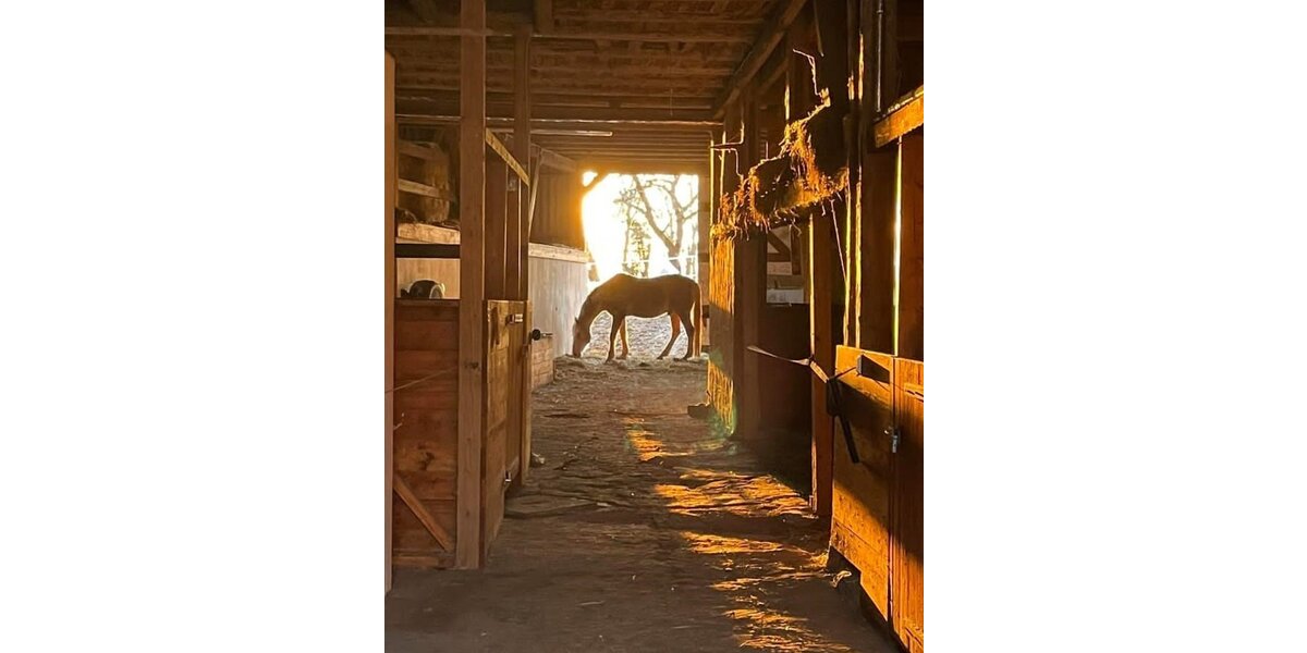 Tann-OT, 3 Seitenhof - Einfamilienhaus Tann (Rhön) Schwarzenborn | Angebot:25869276