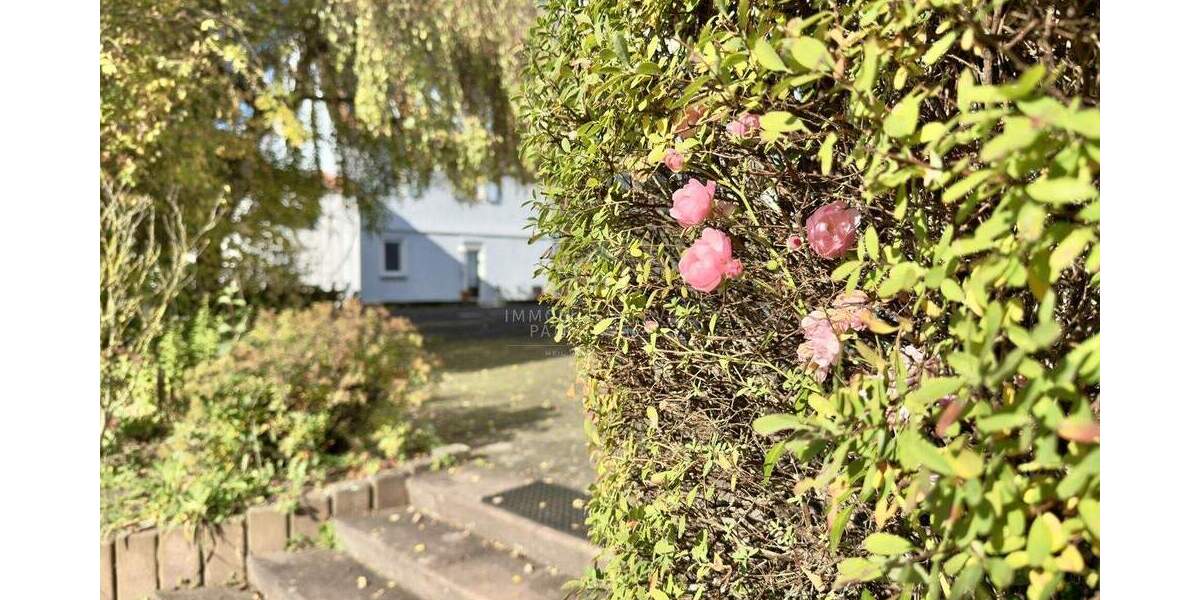 Mehrfamilienhaus, Wohnhaus Neuhof / Rommerz Rommerz - 2 Zimmer, 1 m&sup2;, 1.350.000&euro; | Angebot:25741007