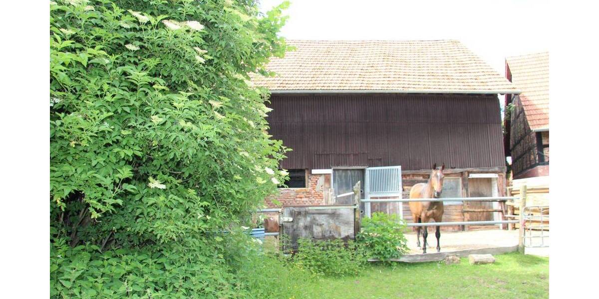 Mehrfamilienhaus, Wohnhaus Schlitz - 6 Zimmer, 140 m&sup2;, 220.000&euro; | Angebot:26673230