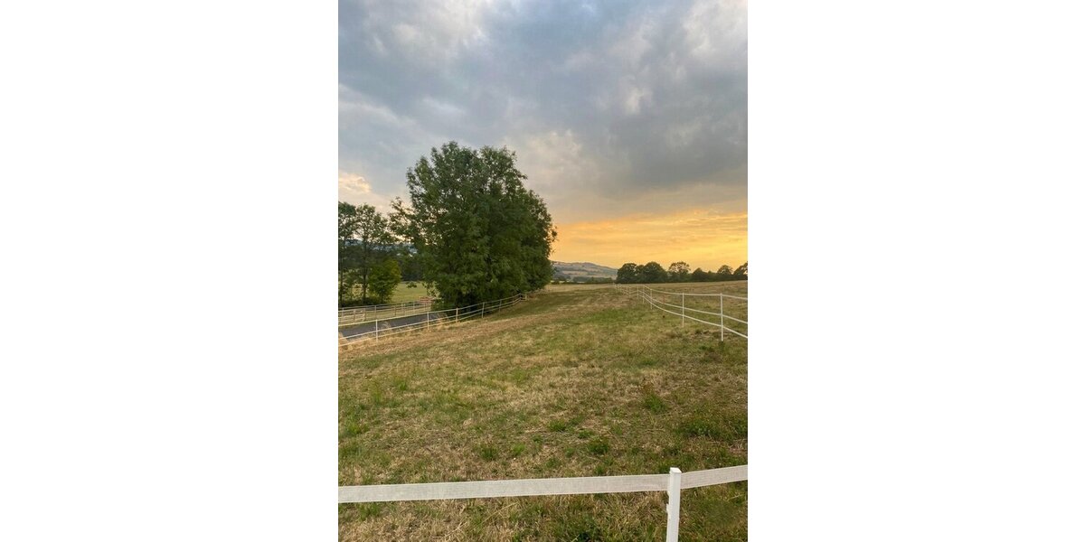 Tann-OT, 3 Seitenhof - Einfamilienhaus Tann (Rhön) Schwarzenborn | Angebot:25869276