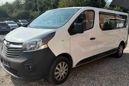 Opel Vivaro 118.000 km 18.450 &euro; Lauterbach hessen 36341