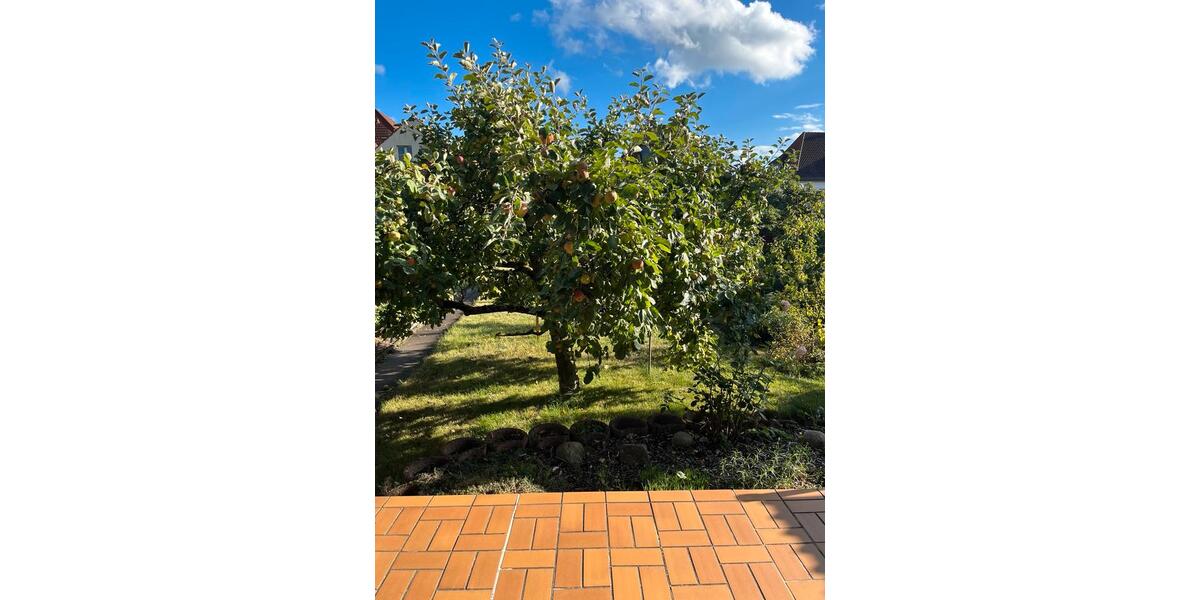 Erdgeschoßwohnung Fulda Kohlhaus - 3 Zimmer, 95 m&sup2;, 299.000&euro; | Angebot:22923690