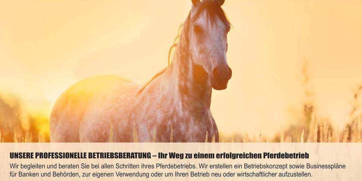 Grundstück Grebenhain - 240.000&euro; | Angebot:25739434