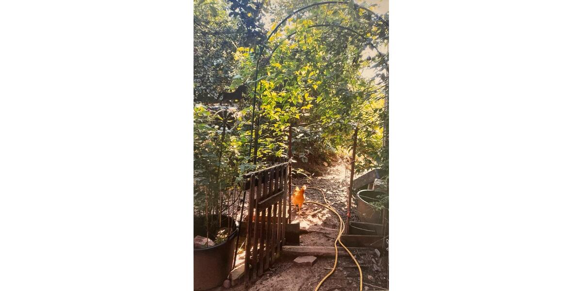 Einfamilienhaus Sinntal - 6 Zimmer, 160 m&sup2;, 295.000&euro; | Angebot:26097758