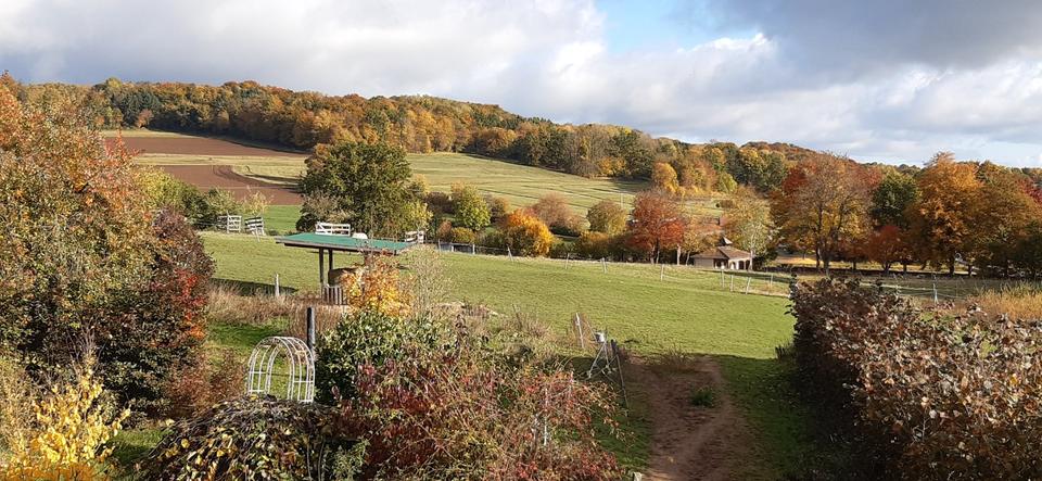 Einfamilienhaus Hosenfeld - 230.000&euro; | Angebot:23620615