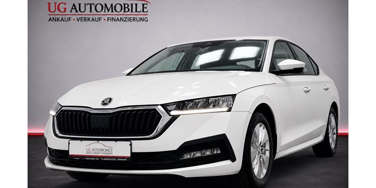 Skoda Octavia 48.500 km 18.480 &euro; Eichenzell 36124