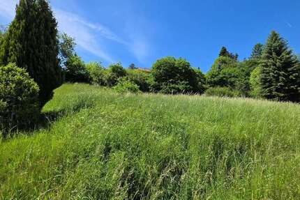 Grundstück Schlitz - 55.000&euro; | Angebot:26755314