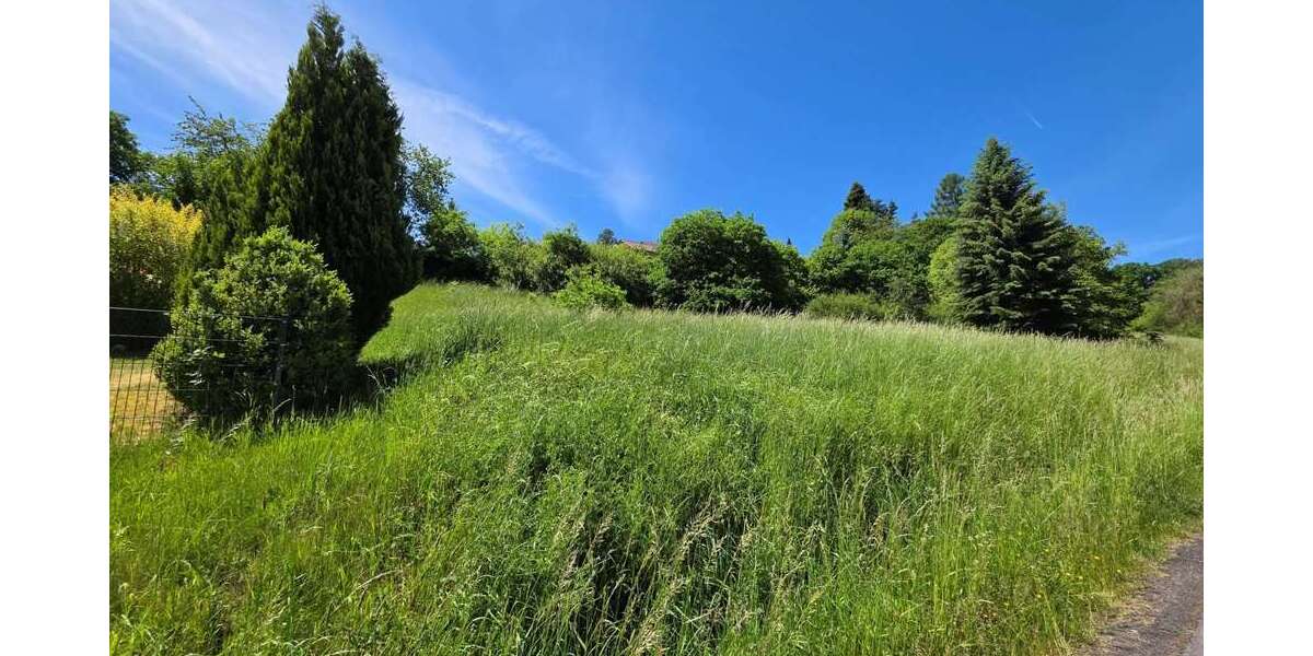 Grundstück Schlitz - 55.000&euro; | Angebot:26755314