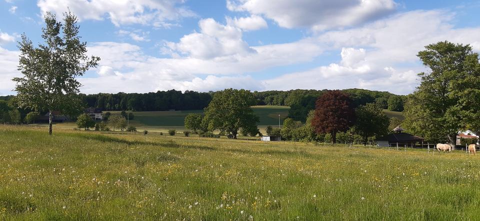 Einfamilienhaus Hosenfeld - 230.000&euro; | Angebot:23620615