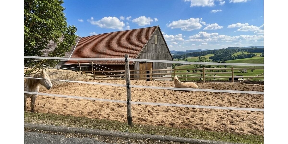 Tann-OT, 3 Seitenhof - Einfamilienhaus Tann (Rhön) Schwarzenborn | Angebot:25869276