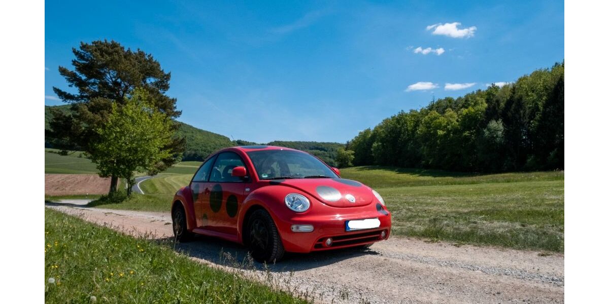 VW New Beetle 216.904 km 1.200 &euro; Buttlar 36419