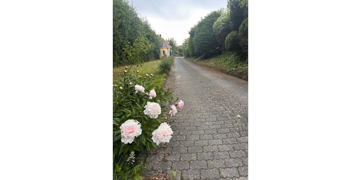 Einfamilienhaus Bad Brückenau - 9 Zimmer, 360 m&sup2;, 549.000&euro; | Angebot:26337230