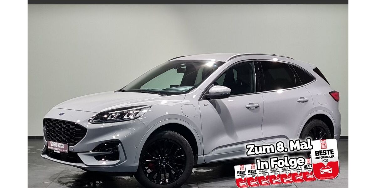 Ford Kuga 29.781 km 33.450 &euro; Fulda 36043