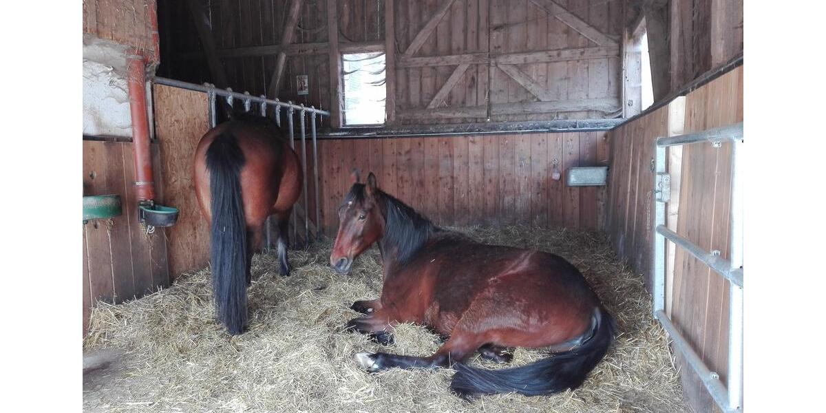 Einfamilienhaus Sinntal - 6 Zimmer, 160 m&sup2;, 295.000&euro; | Angebot:26097758