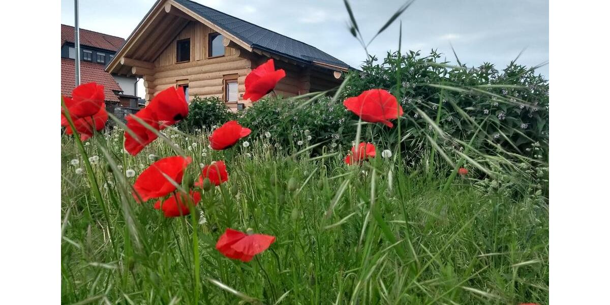 Einfamilienhaus Schwalmtal - 3 Zimmer, 80 m&sup2;, 250.000&euro; | Angebot:24658322