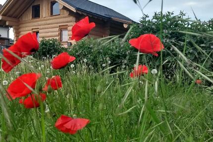 Haus Schwalmtal - 3 Zimmer, 80 m&sup2;, 250.000&euro; | Angebot:24658322