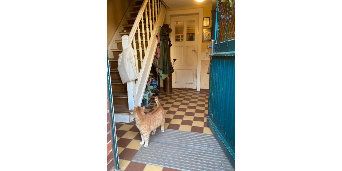 Einfamilienhaus Sinntal - 6 Zimmer, 160 m&sup2;, 295.000&euro; | Angebot:26097758