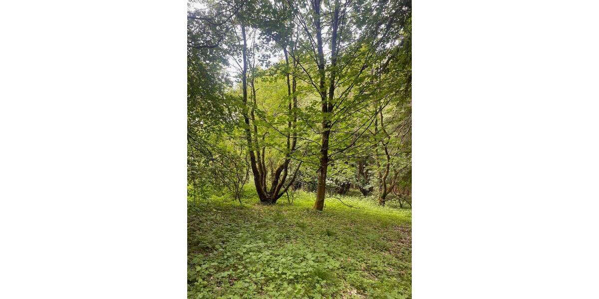 Grundstück Wildflecken Oberbach - 10.000&euro; | Angebot:25696672