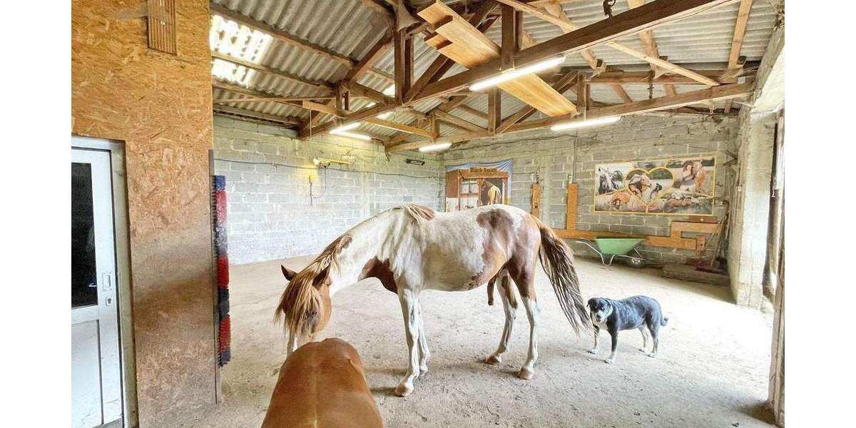 Einfamilienhaus Hosenfeld - 995.000&euro; | Angebot:25689300