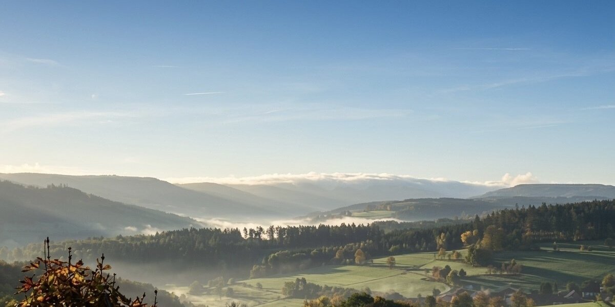 Tann-OT, 3 Seitenhof - Einfamilienhaus Tann (Rhön) Schwarzenborn | Angebot:25869276