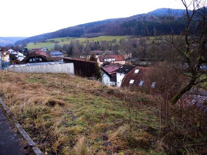 Grundstück Bad Brückenau Römershag - 29.000&euro; | Angebot:25696669