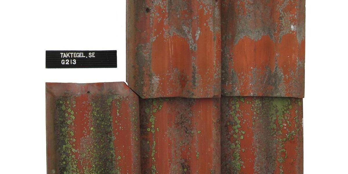 Einfamilienhaus Bischofsheim in der Rhön - 250.000&euro; | Angebot:26220042