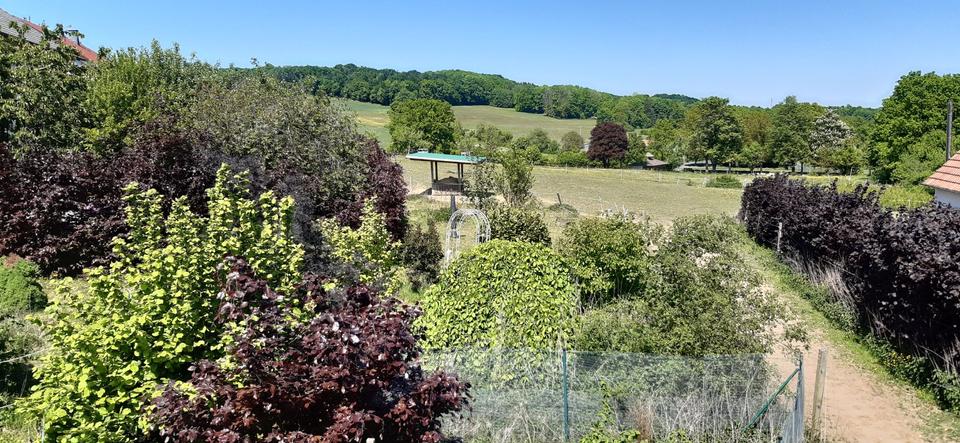 Einfamilienhaus Hosenfeld - 230.000&euro; | Angebot:23620615