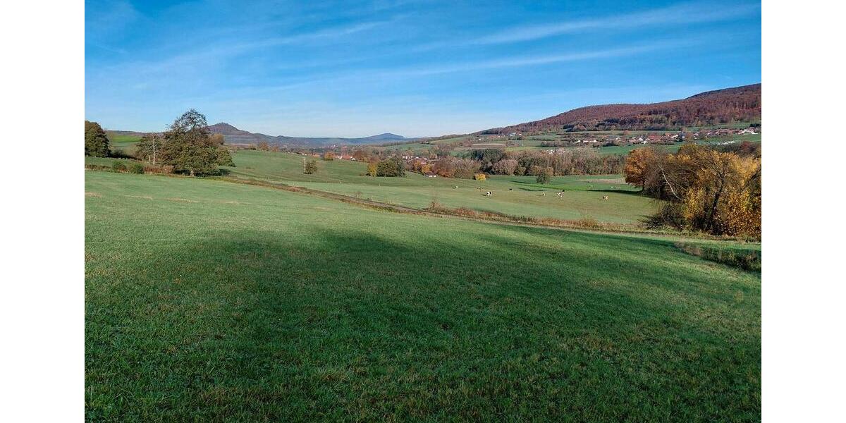 Einfamilienhaus Tann (Rhön) - 10 Zimmer, 263 m&sup2;, 359.000&euro; | Angebot:23226409